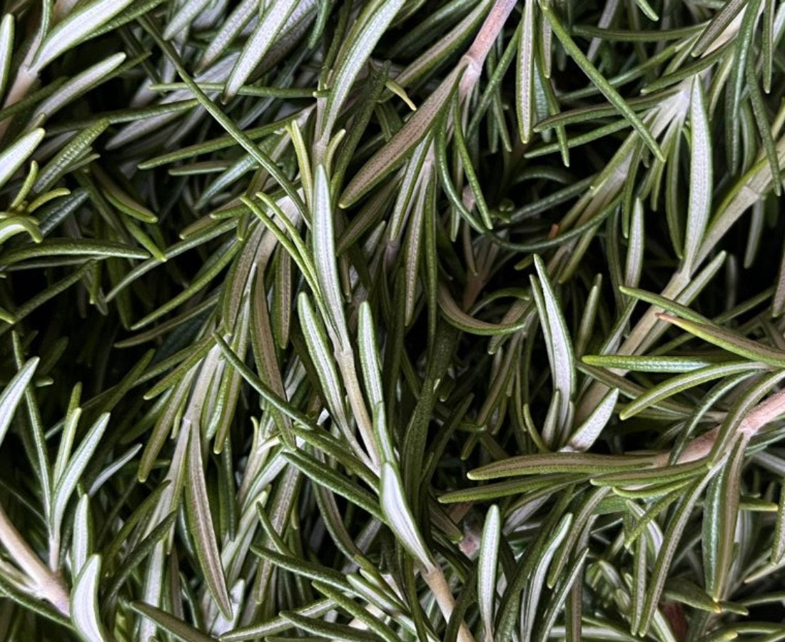 7 UNBELIEVABLE ROSEMARY BENEFITS FOR BLOATING + HEALTHY SKIN