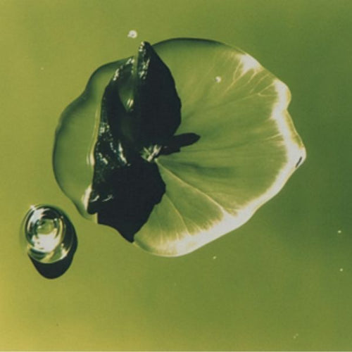 HOW CHLOROPHYLL IMPROVES DIGESTION AND GIVES YOU GLOWING SKIN